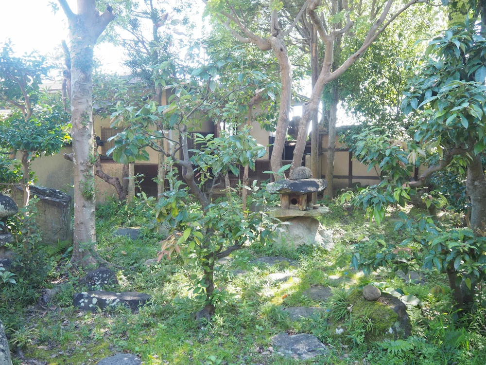 つくぼ片山家_庭
