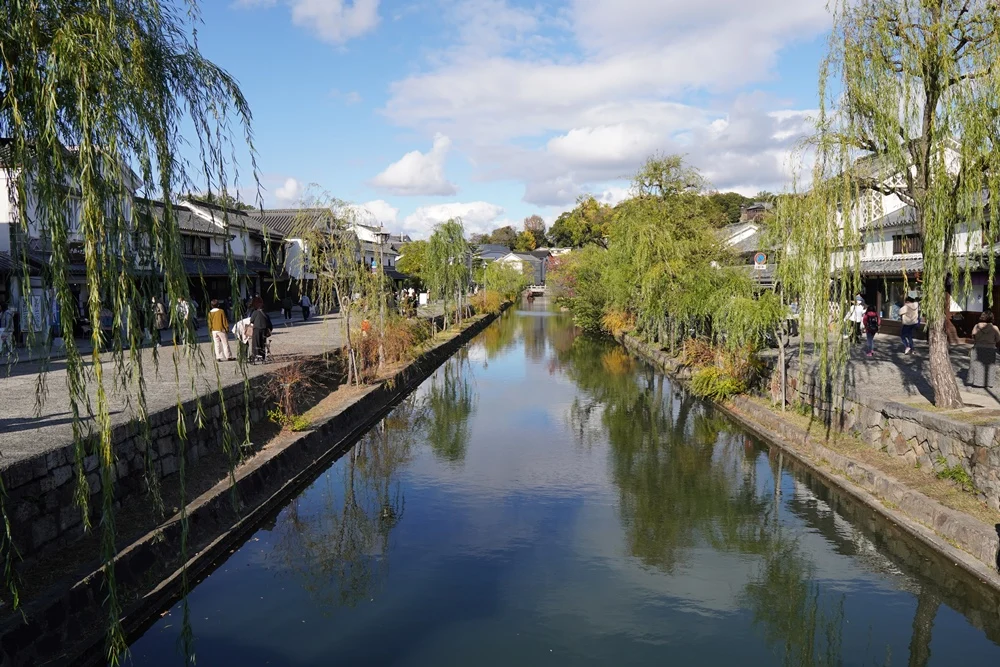 ランチ_美観地区