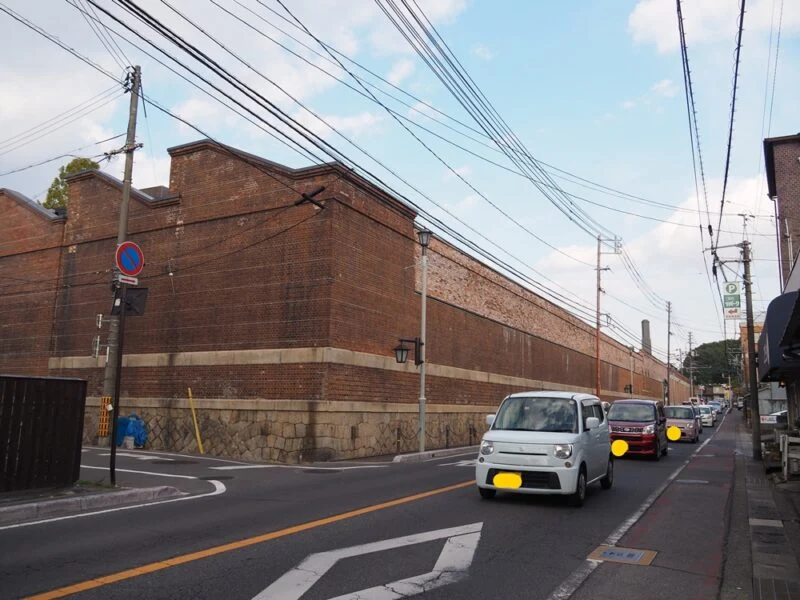 アイビー