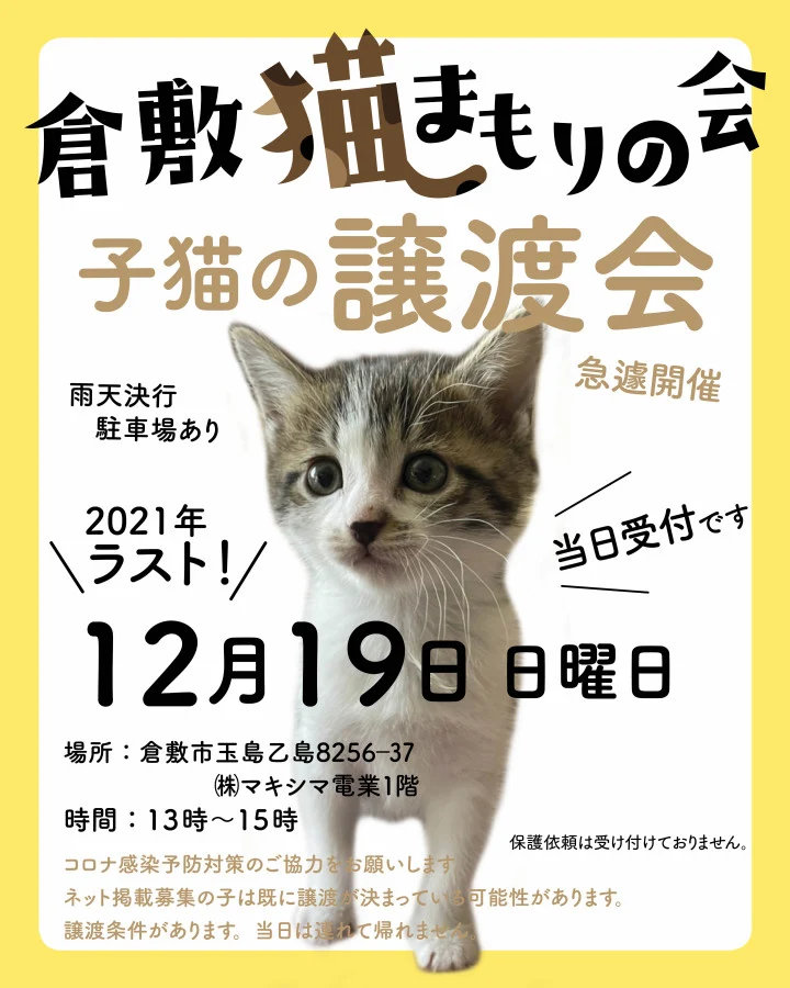 譲渡会チラシ