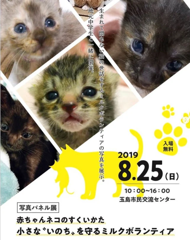 写真展チラシ