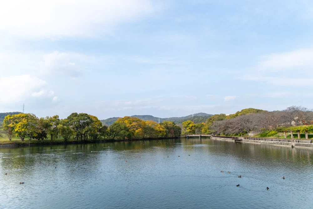 配水池