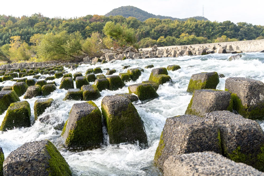 笠井堰