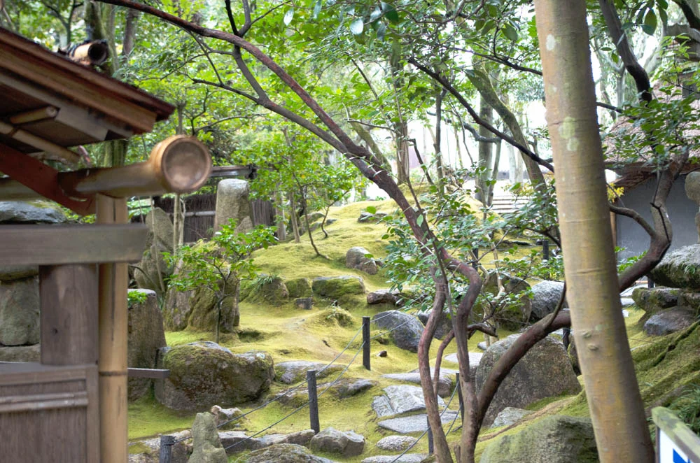 旧野﨑家住宅 枯山水