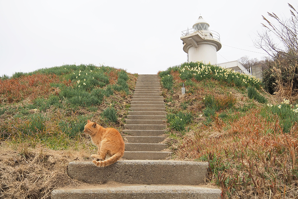 六島灯台