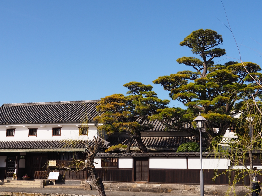 鶴形_松