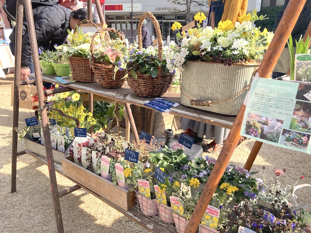 花束のようなかわいらしい寄せ植え。卒業・入学シーズンのプレゼントにも喜ばれそうです。