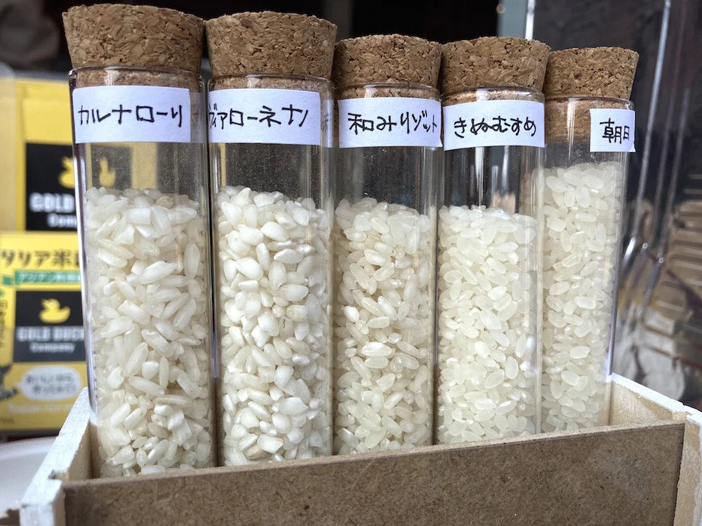 どんな味がするのか気になるイタリア米。ずんぐりむっくりとした見た目も特徴的です。