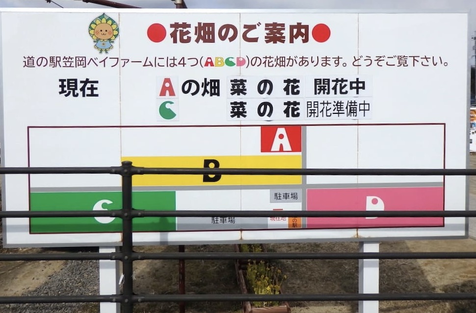 2022年3月4日現在