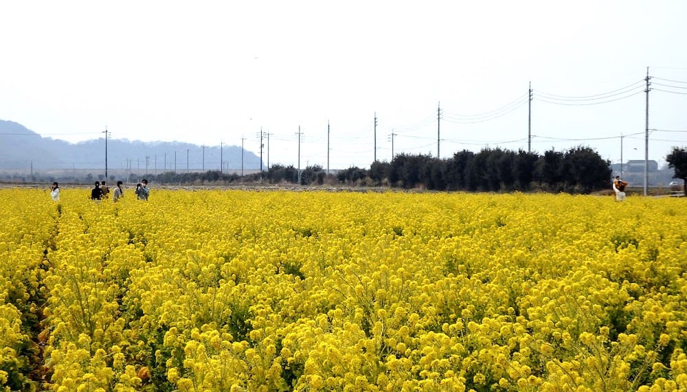 2022年3月4日撮影