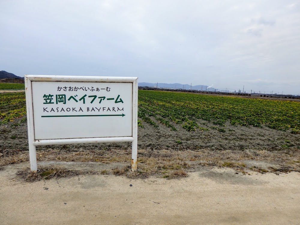 2022年2月8日撮影
