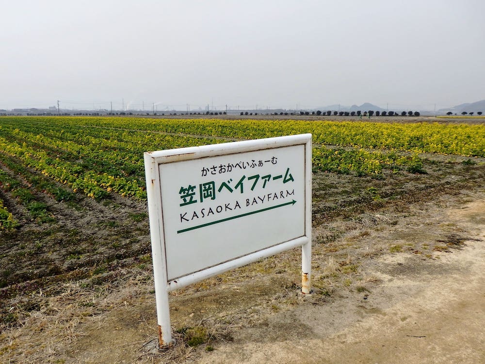 2022年3月4日撮影