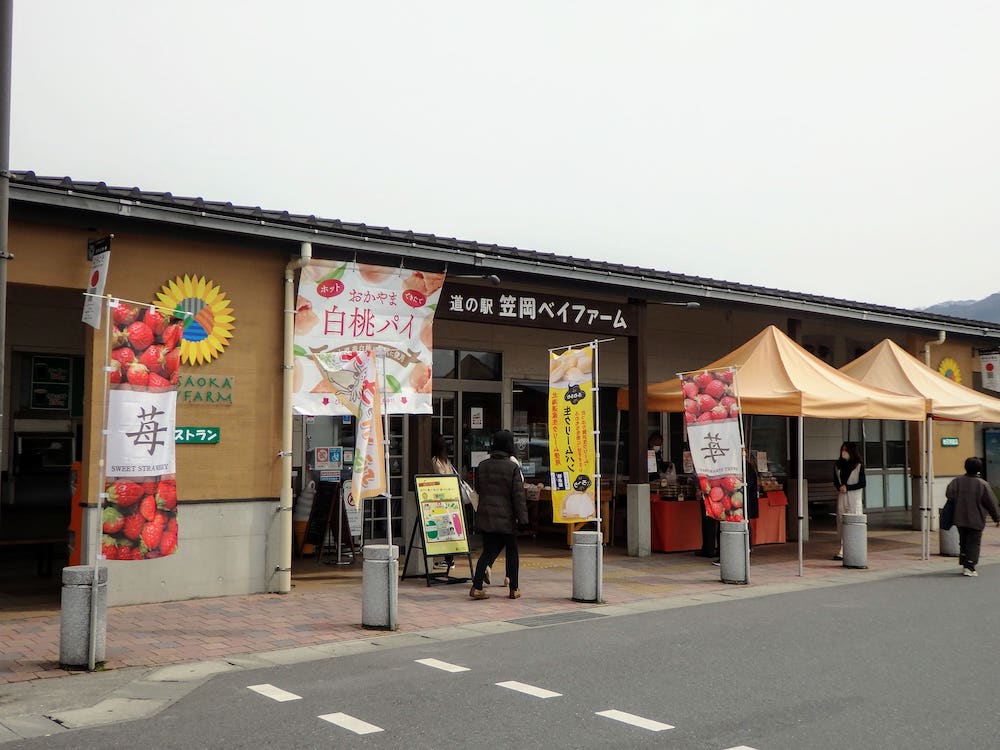道の駅 笠岡ベイファーム【春】 ～ 菜の花が映える！一面黄色い絨毯の風景を2月から4月まで楽しむ