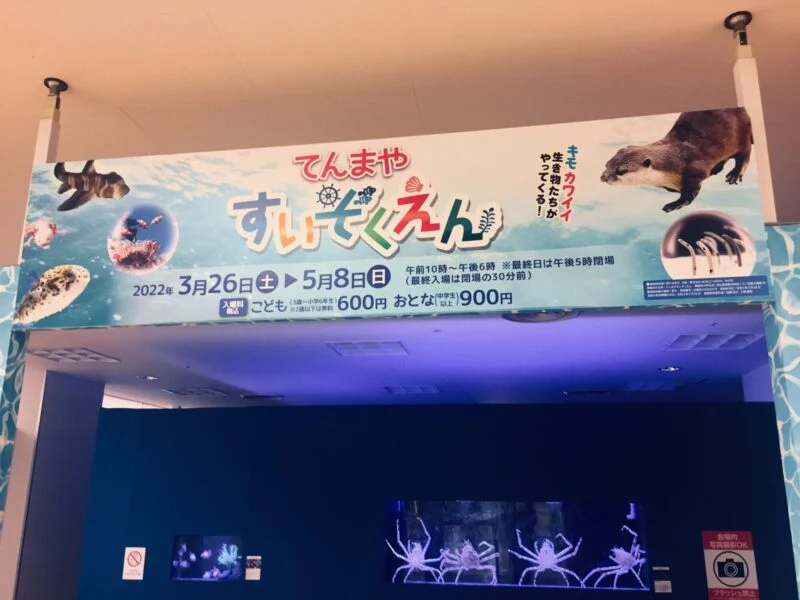 てんまや すいぞくえん(令和4年3月26日～5月8日開催) ～ 倉敷駅から徒歩約1分、キモカワイイ生き物たちがいる小さな水族園