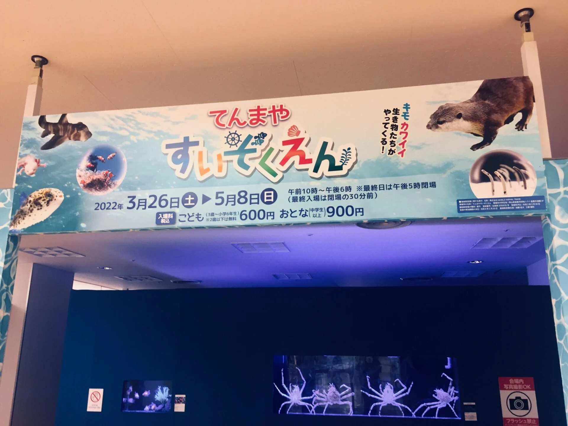 てんまや すいぞくえん(令和4年3月26日～5月8日開催) ～ 倉敷駅から徒歩約1分、キモカワイイ生き物たちがいる小さな水族園