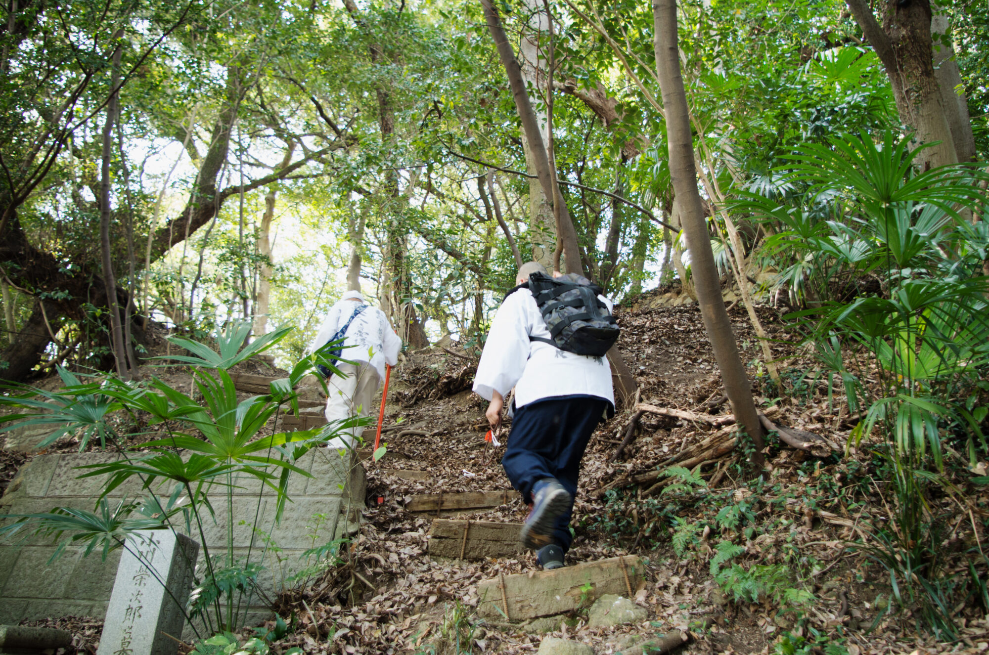 巡礼山道風景