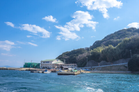 海上から見た洲港