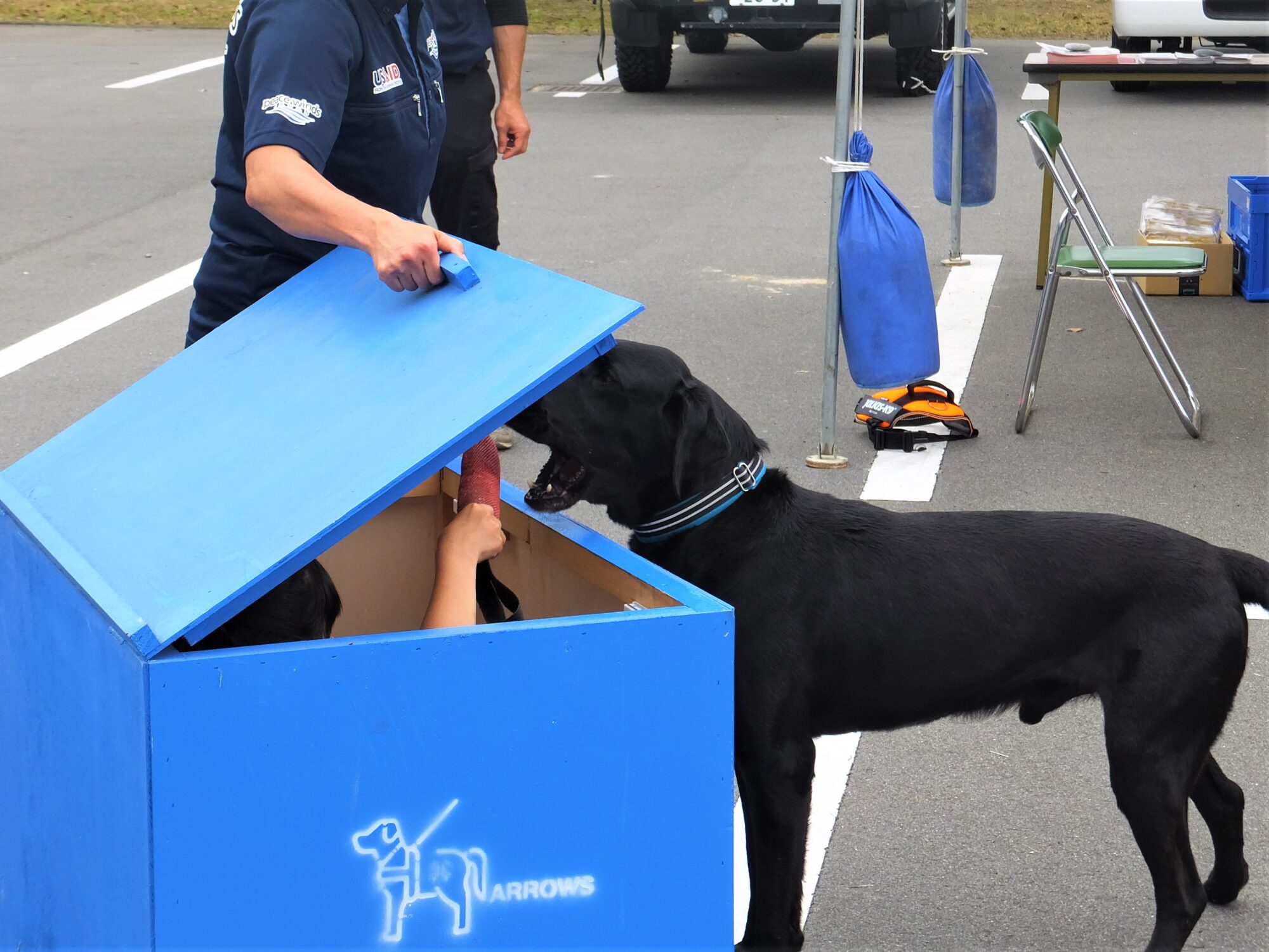災害救助犬ショー　人が隠れたボックスを迷わず見つけるルートくん