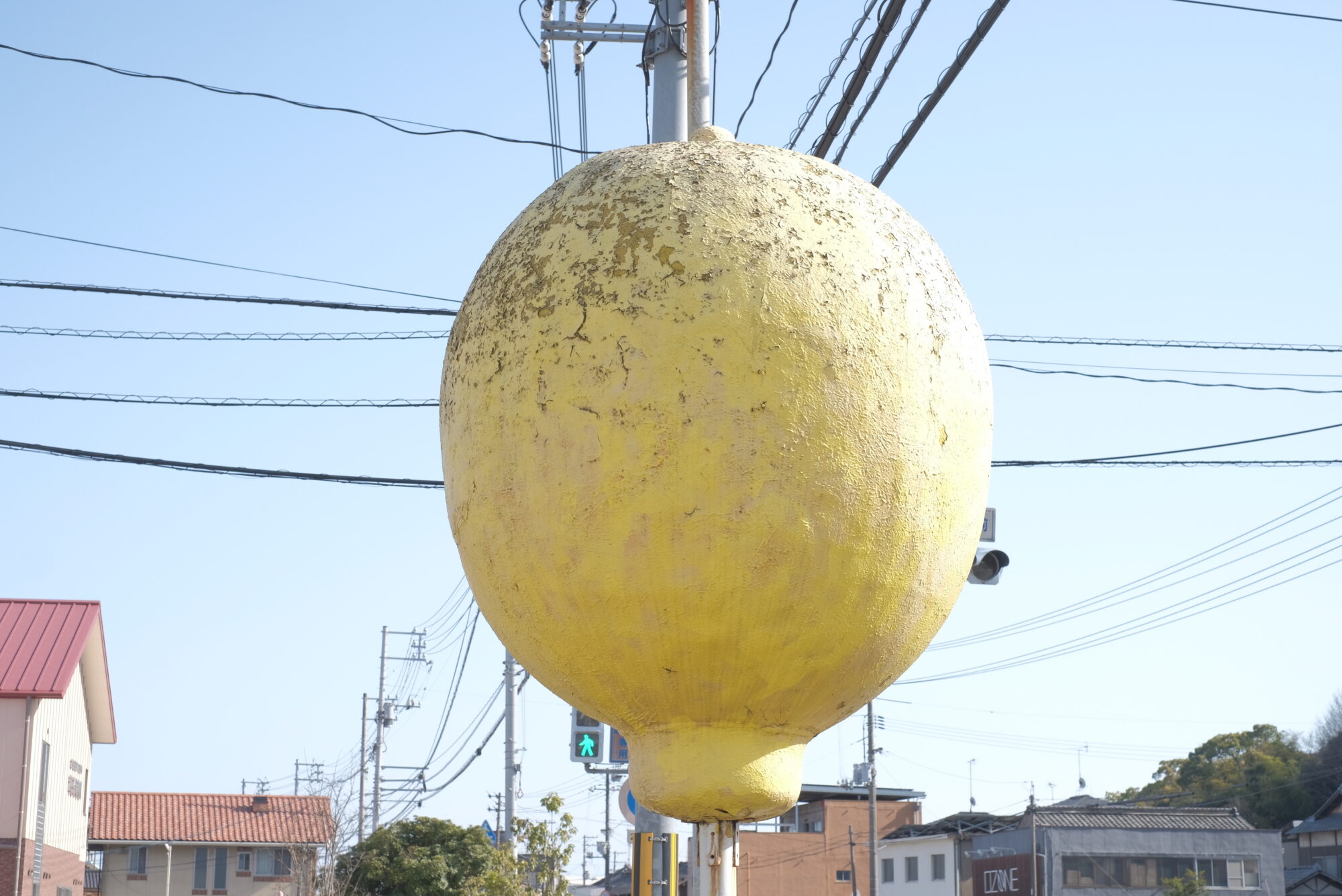 サンレモン　レモン