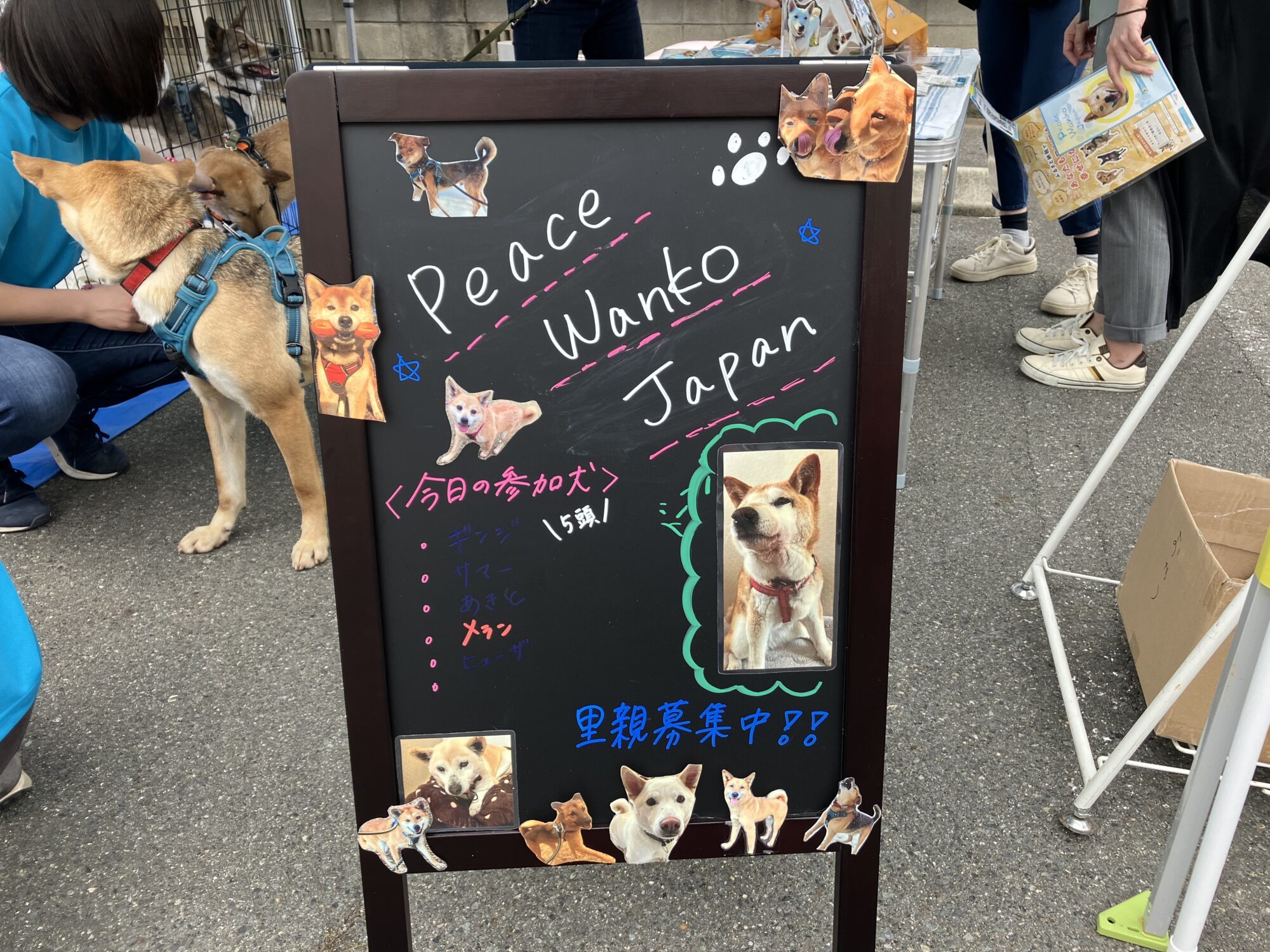 ピースワンコジャパン岡山譲渡センター