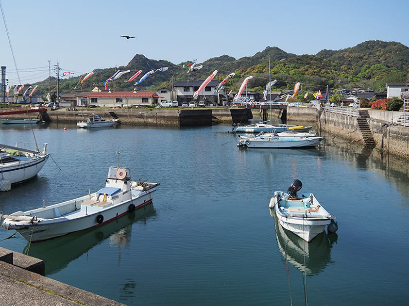 白石島のこいのぼり
