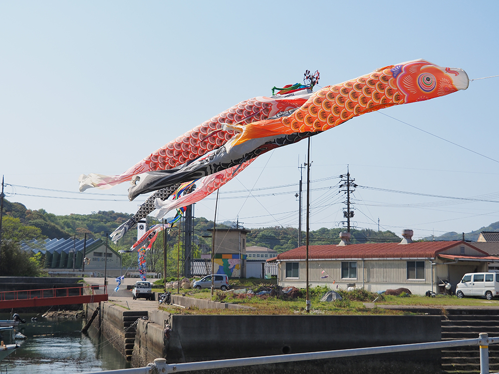 白石島のこいのぼり