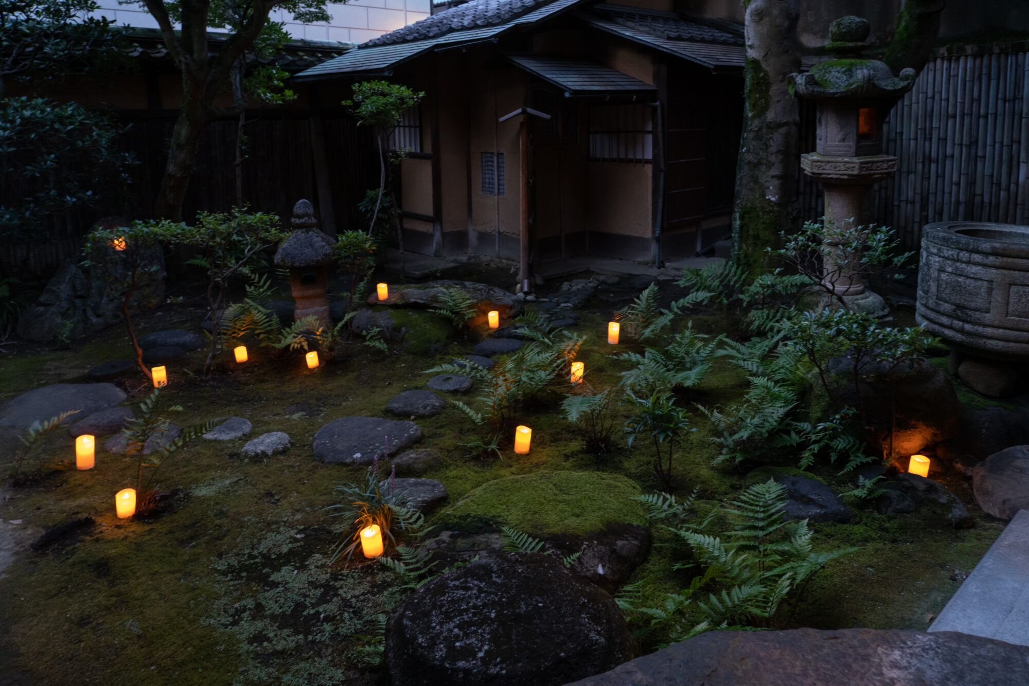 夜の特別公開 有隣荘「一期一景」 庭