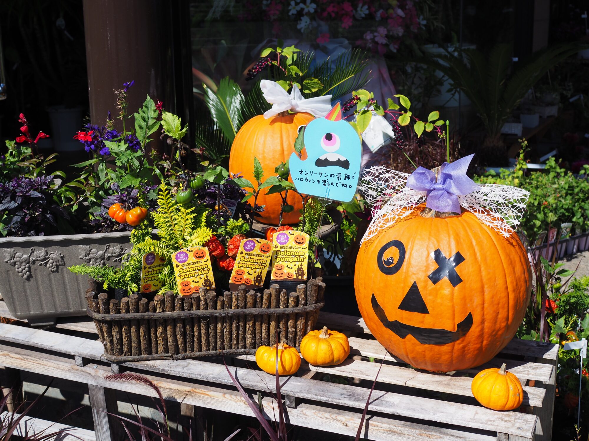 宮原生花店_ハロウィン