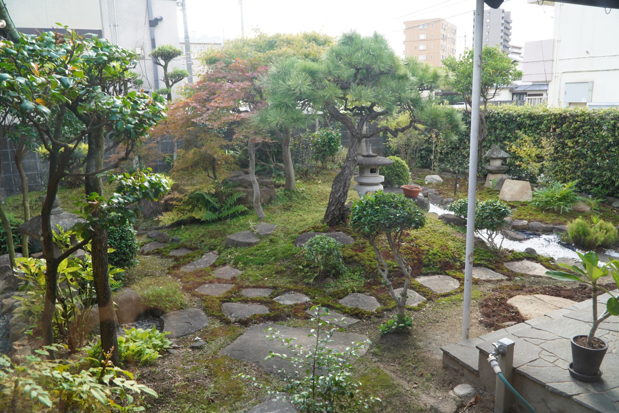店内からの眺め
