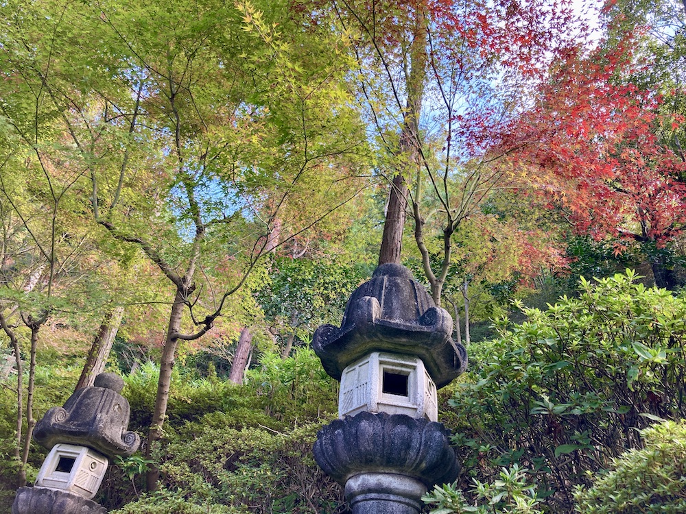 白雲大社参道下り2