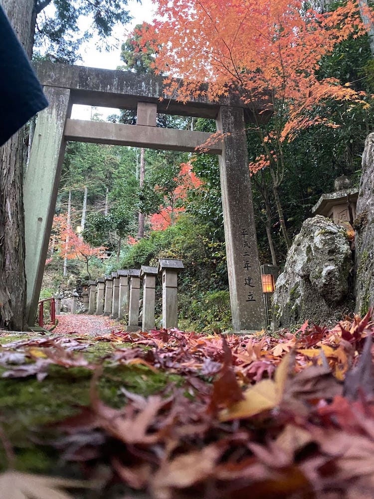 2021年白雲大社紅葉