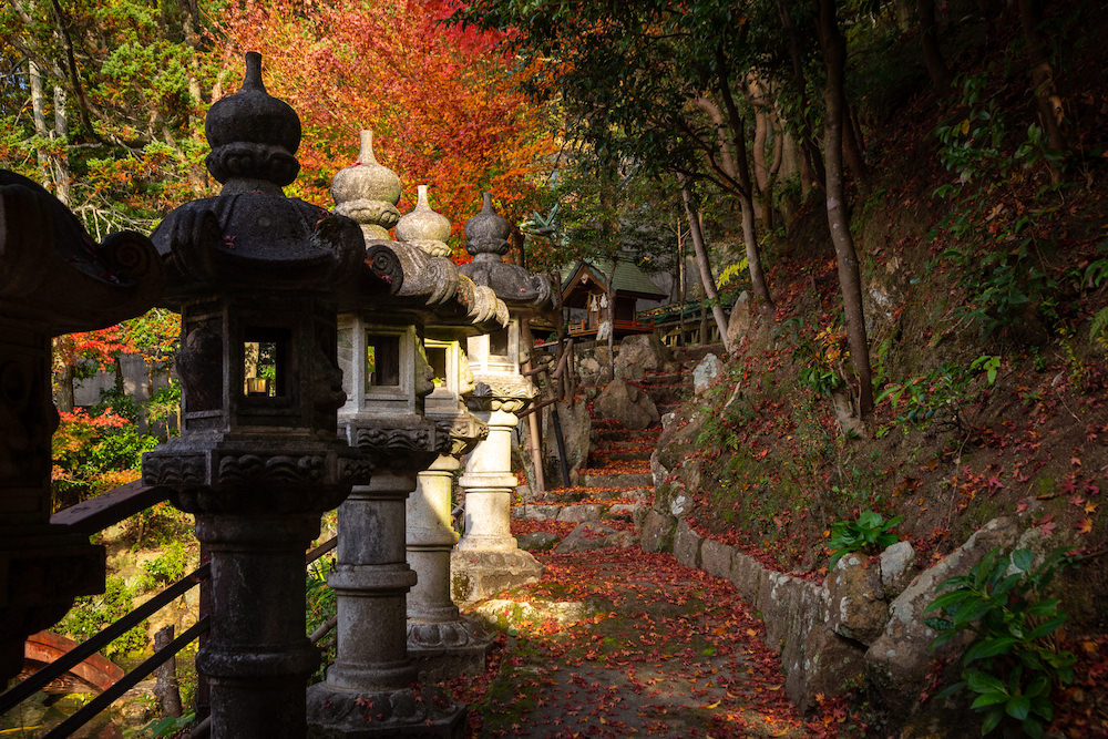 ゑびす宮の石段上の紅葉
