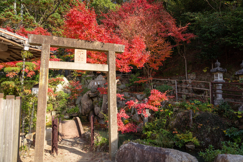 白雲大社ゑびす宮の鳥居と紅葉
