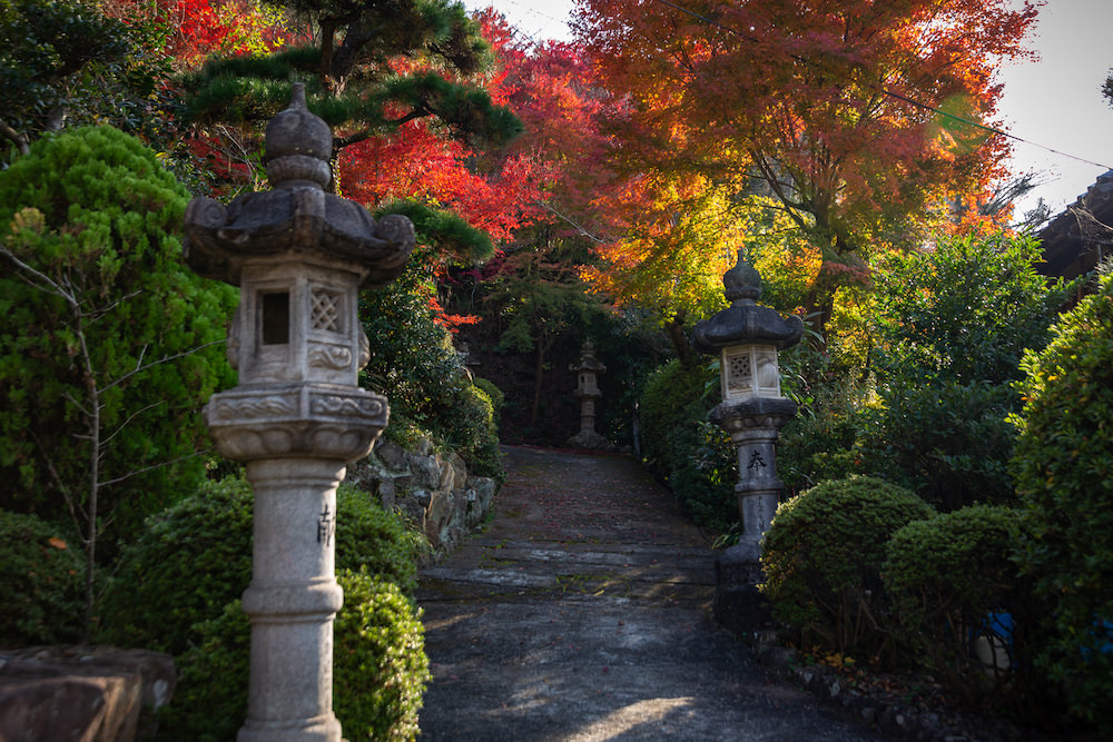 白雲大社参道入口の紅葉