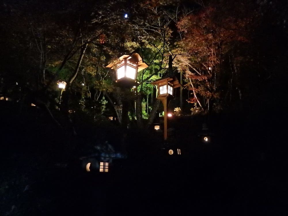 ライトアップされた紅葉