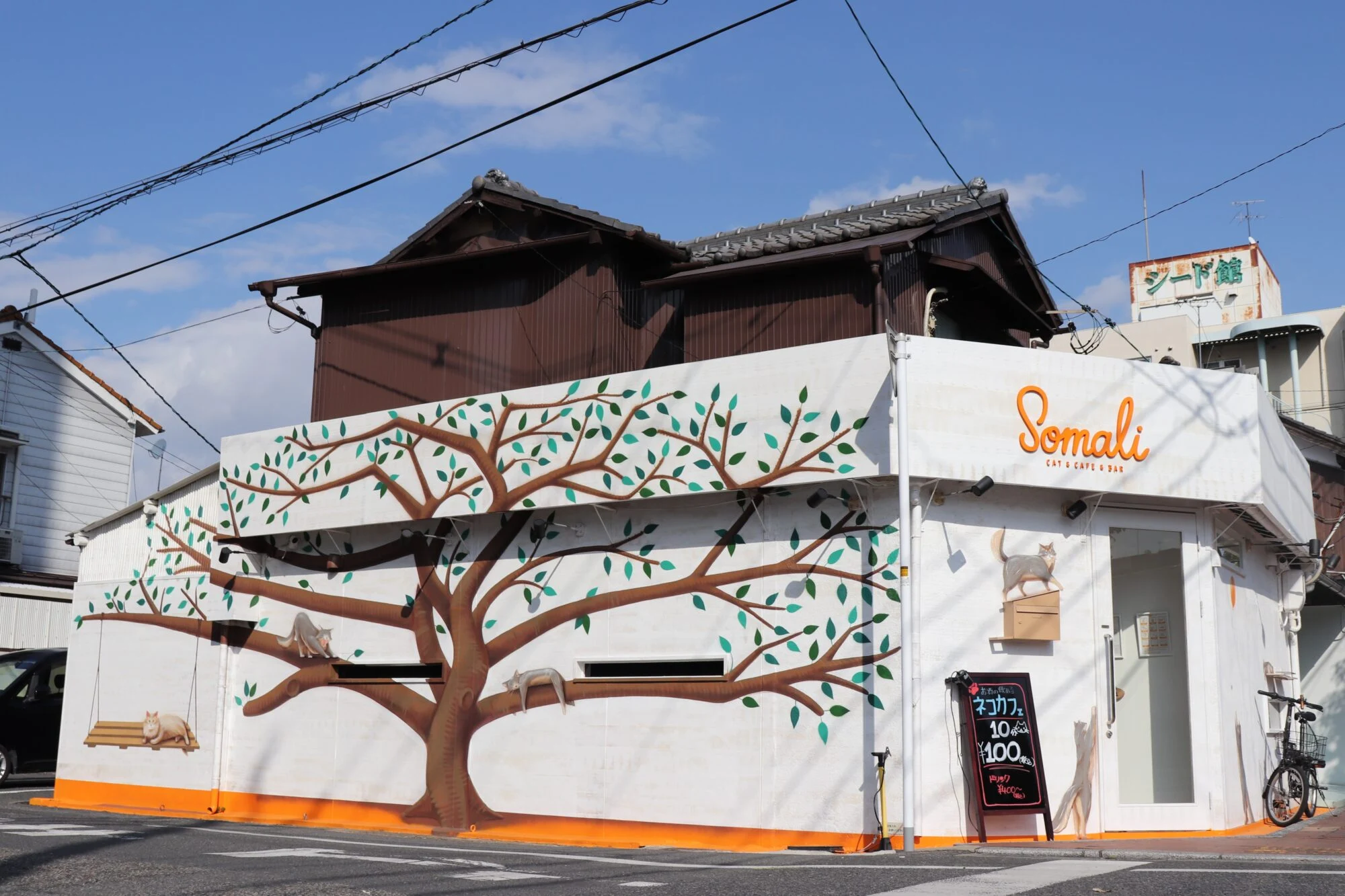 猫カフェ&バー somali