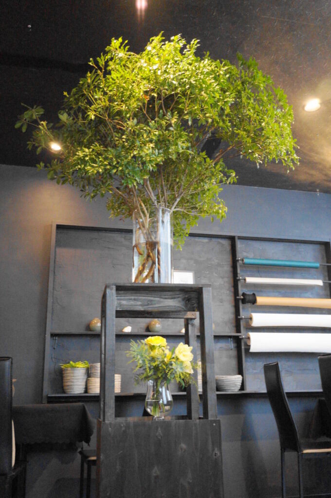 店内後方の大きな植物が目を引きます