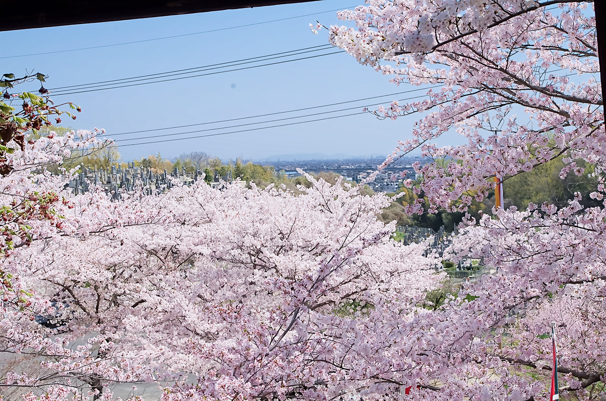 法輪寺　鐘楼堂より望む