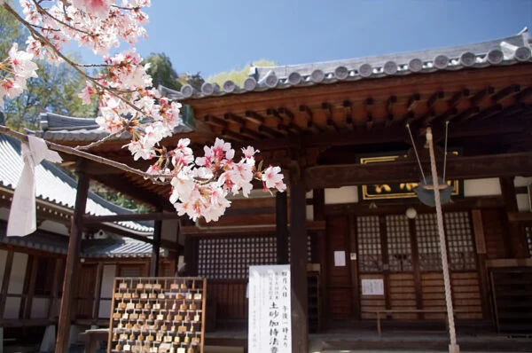 法輪寺 ～ 倉敷市羽島（向山）に鎮座する歴史ある桜の名所