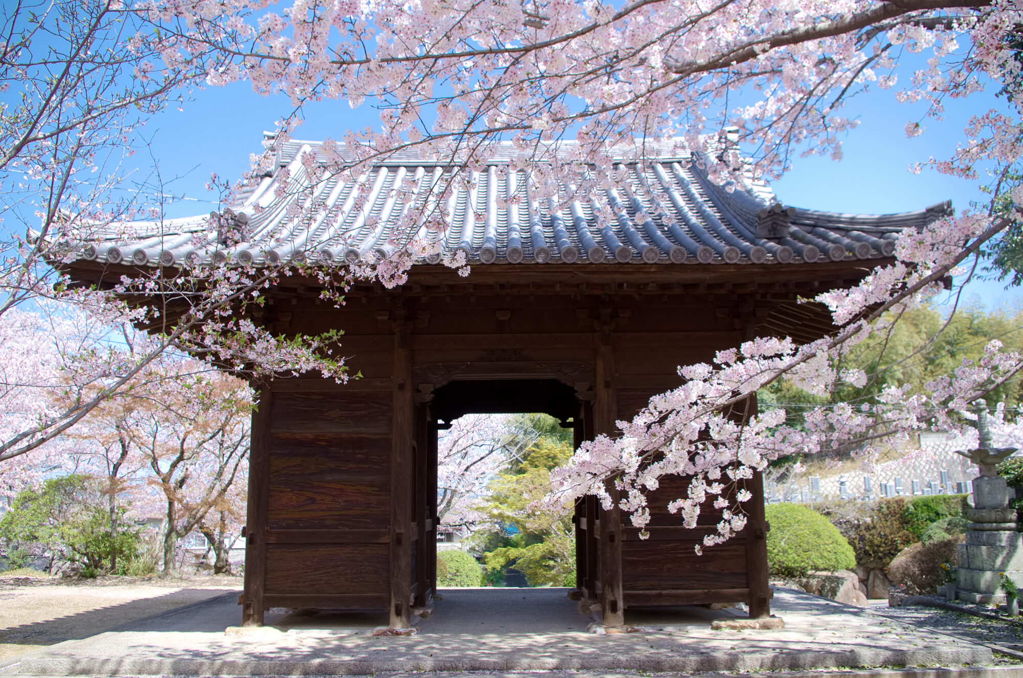 法輪寺山門