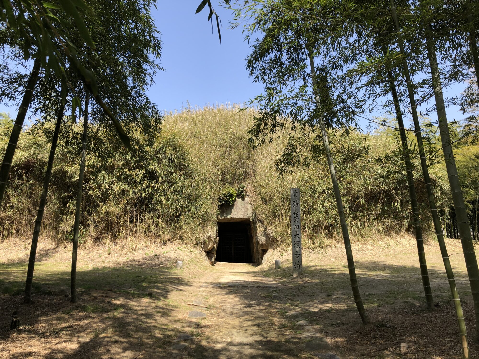 写真提供:堀口真伍さん