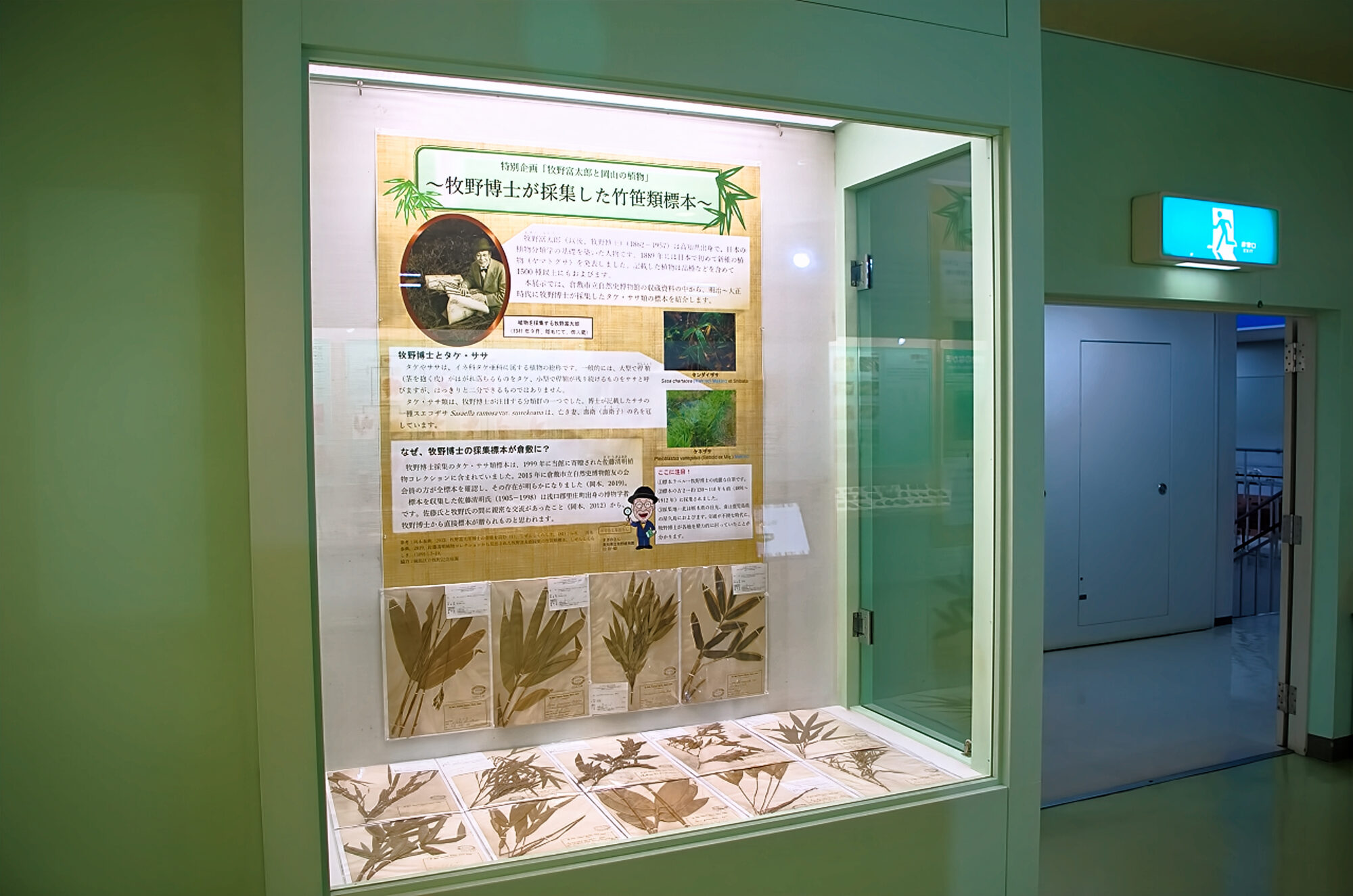 倉敷市立自然史博物館　牧野博士