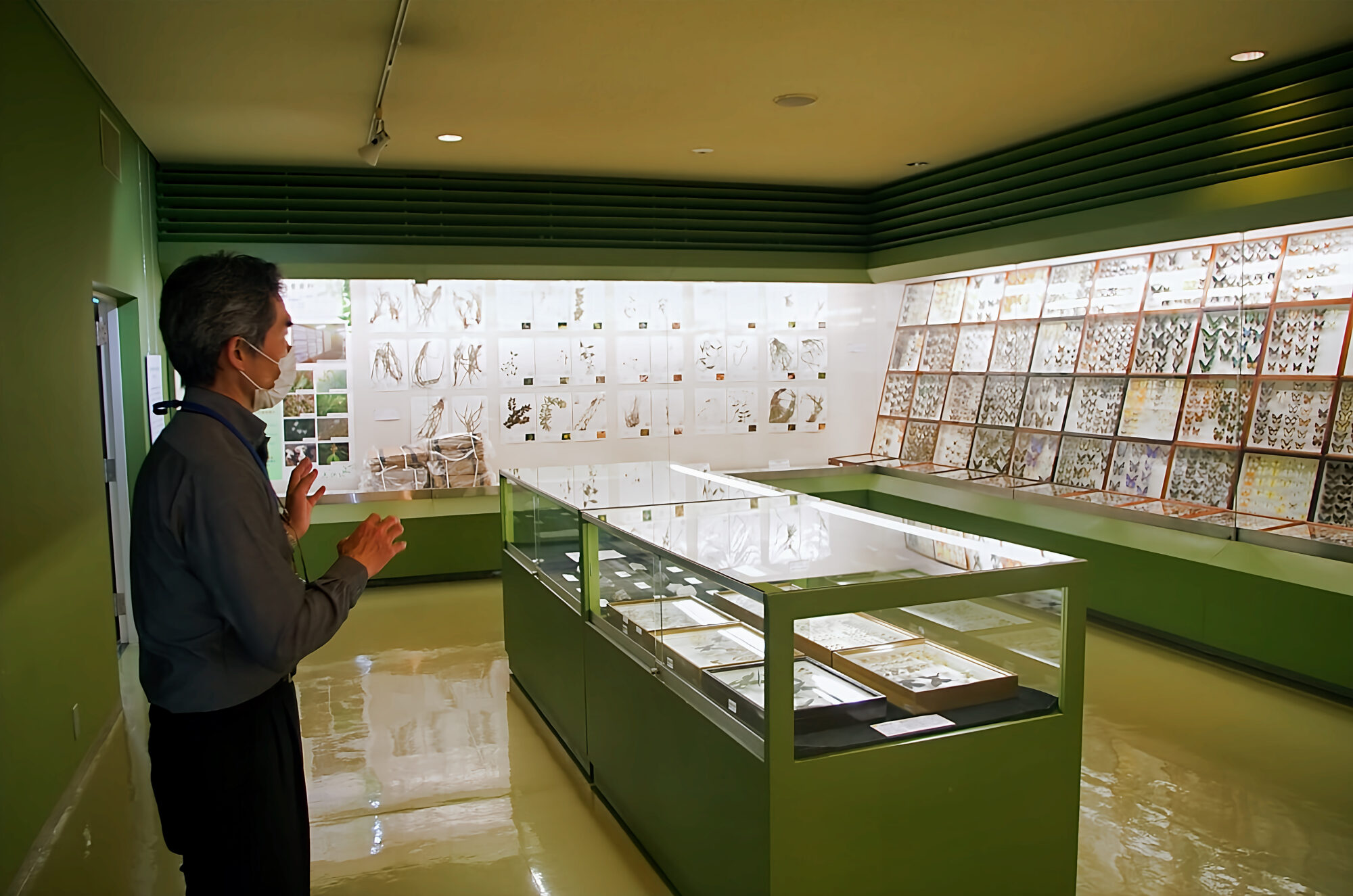 倉敷市立自然史博物館　新着資料展