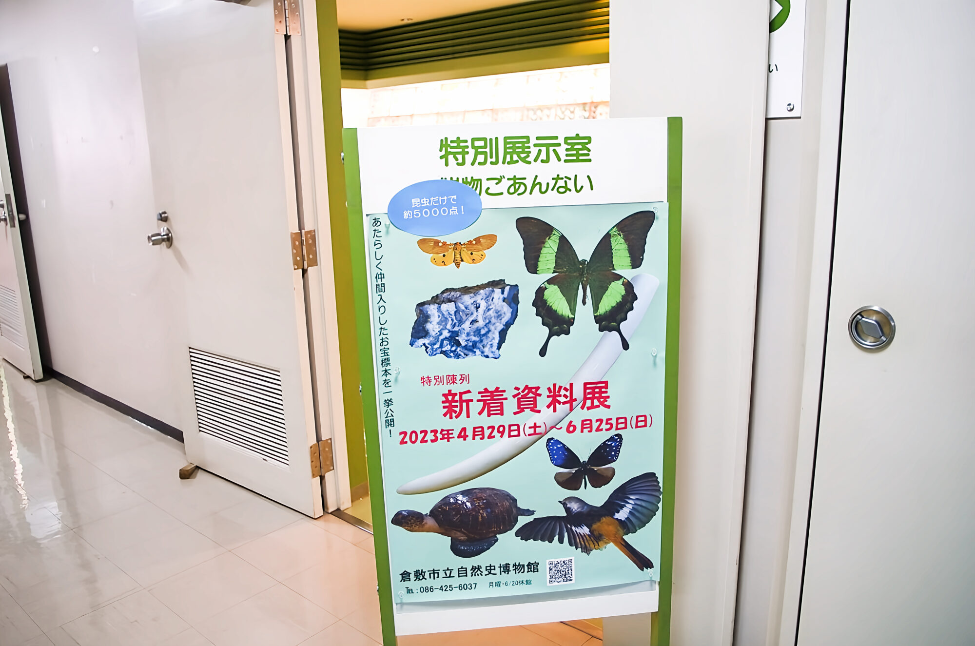 倉敷市立自然史博物館　新着資料展