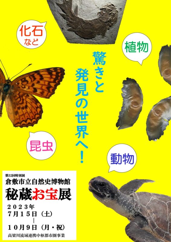 秘蔵お宝展 ちらし
