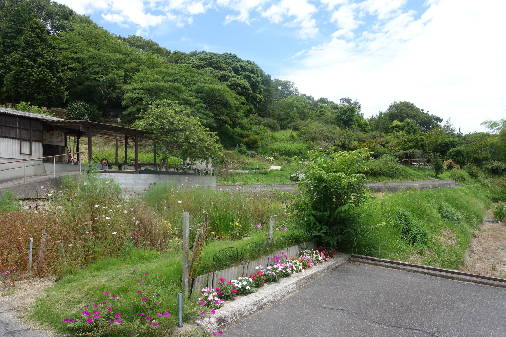 住心院のあじさい園