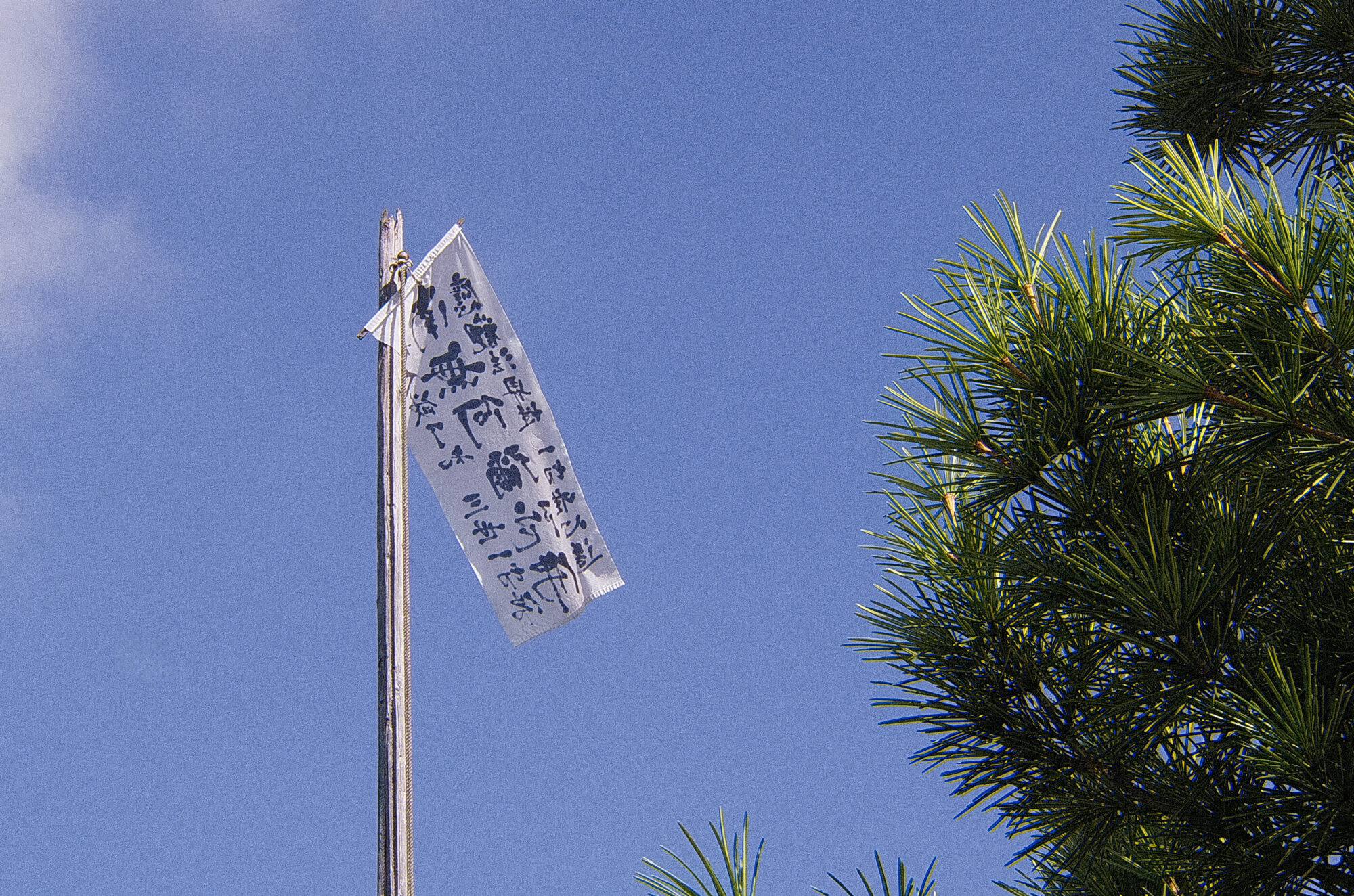 誓願寺門前朝市
