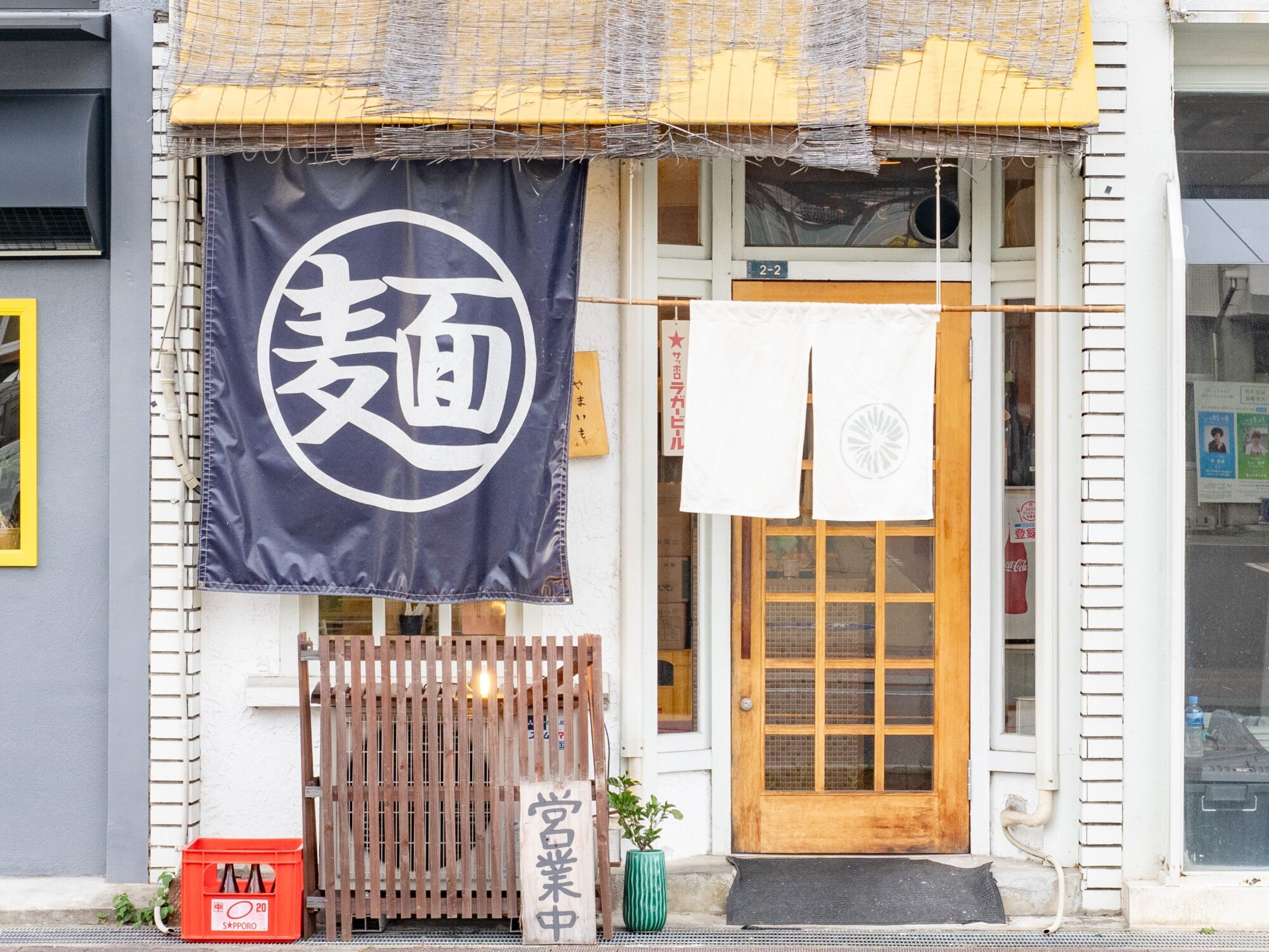 やまいも:外観