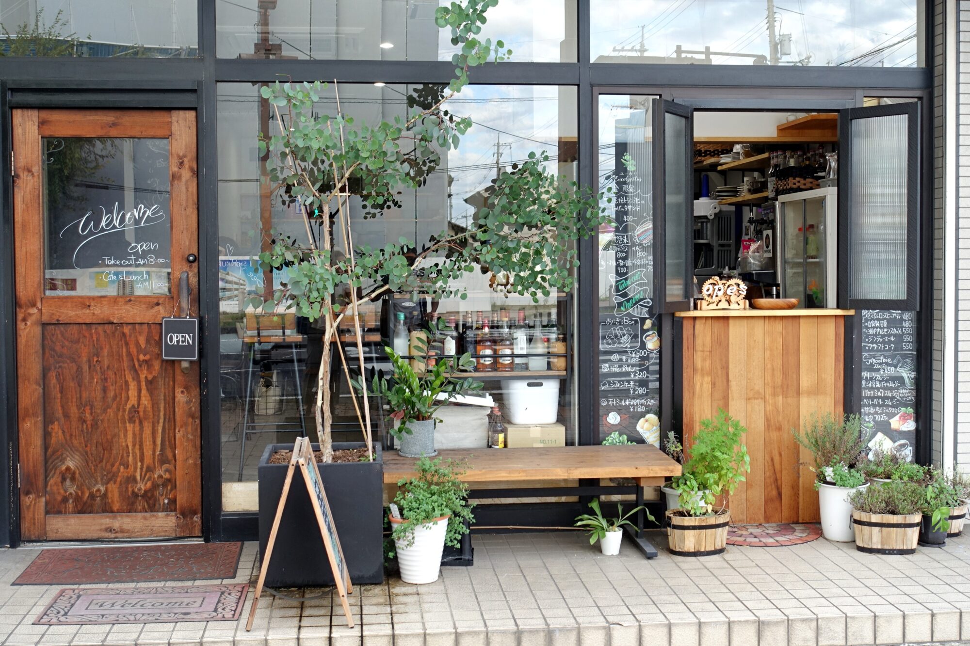 店前でシンボルツリーのユーカリがお出迎え