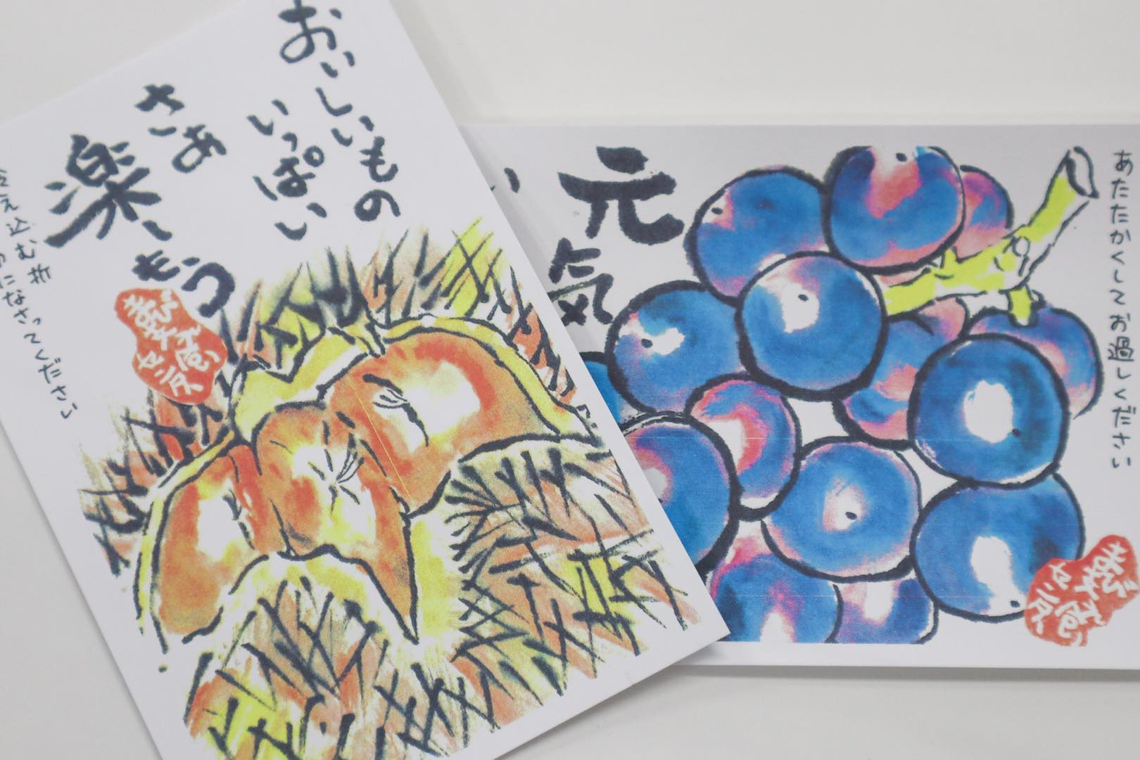 季節ごとに送っている絵葉書　鮮やかな絵に、やわらかいメッセージが添えられています
